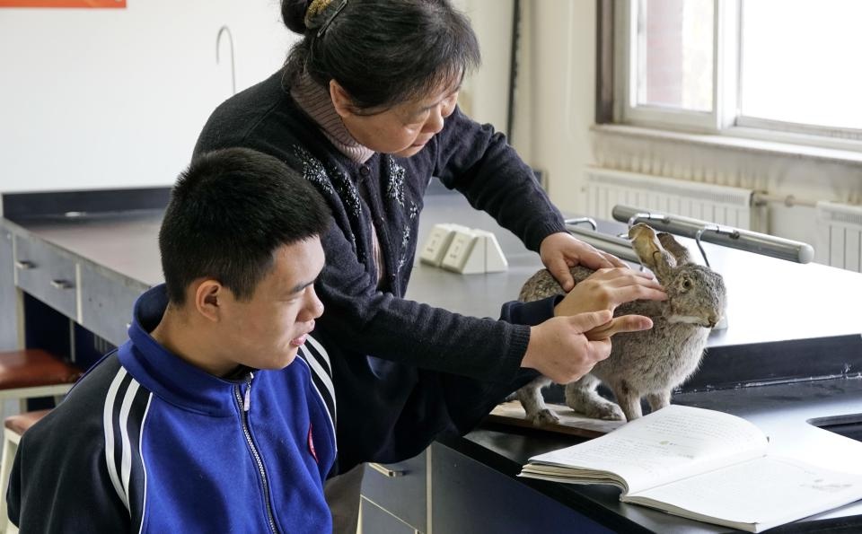 北京市盲人学校150周年庆典：揭秘中国特殊教育的辉煌历程与未来展望  第7张