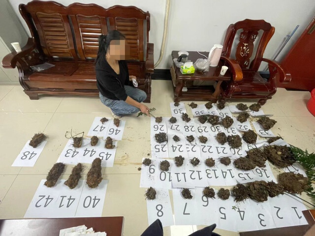 抖音直播惊现非法交易国家重点保护植物，警方雷霆出击抓获嫌疑人  第2张