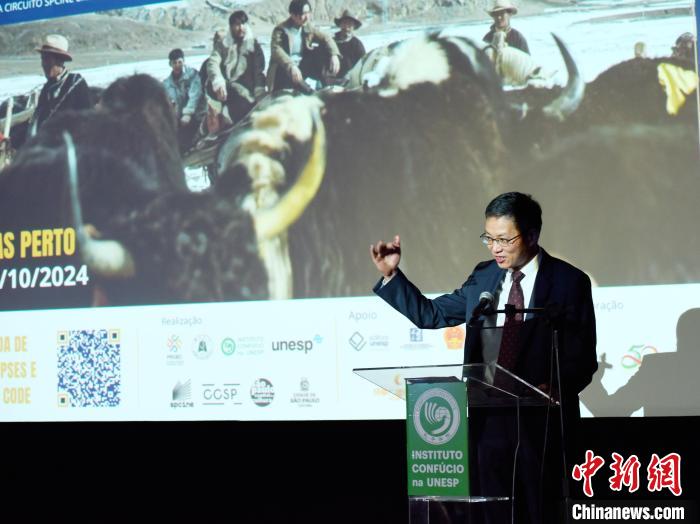 胡歌高圆圆主演电影走走停停亮相巴西，你看了吗？