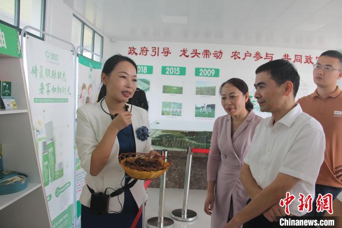 从一棵油茶到一个产业，光山县如何实现致富增收？  第2张
