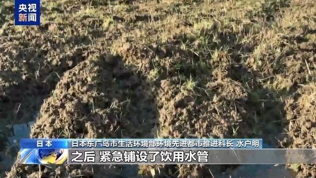 驻日美军基地附近水体污染物竟超标 300 倍，当地居民深受其害  第5张