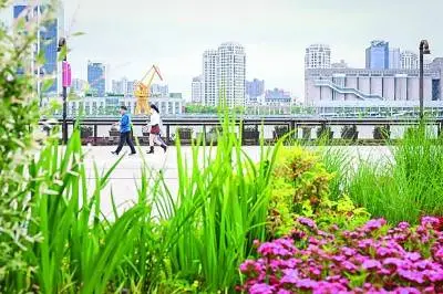 上海：大与小的和谐统一，用实践回答现代化难题  第2张