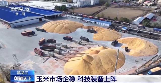 秋粮收购全面展开！主产区已累计收购超 4000 万吨，你家的粮食卖了吗？  第5张