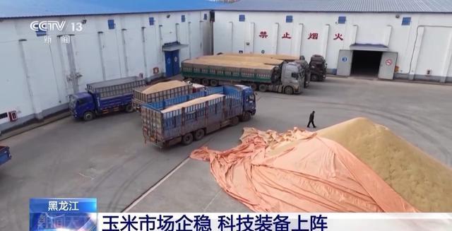秋粮收购全面展开！主产区已累计收购超 4000 万吨，你家的粮食卖了吗？  第6张