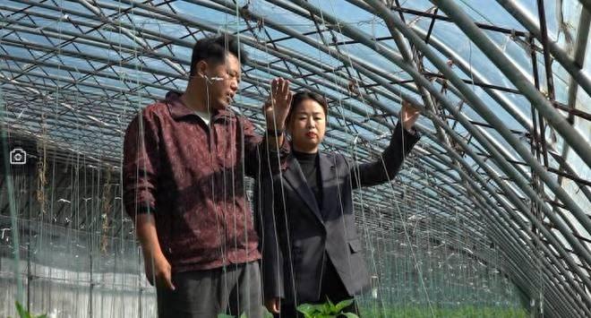诸城 33 万亩蔬菜播种面积！寒潮来袭，农技人员深入田间指导，确保稳产高产  第1张