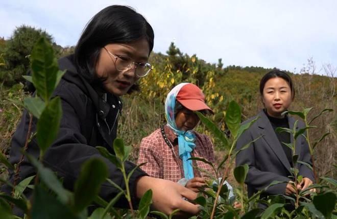 诸城 33 万亩蔬菜播种面积！寒潮来袭，农技人员深入田间指导，确保稳产高产  第2张