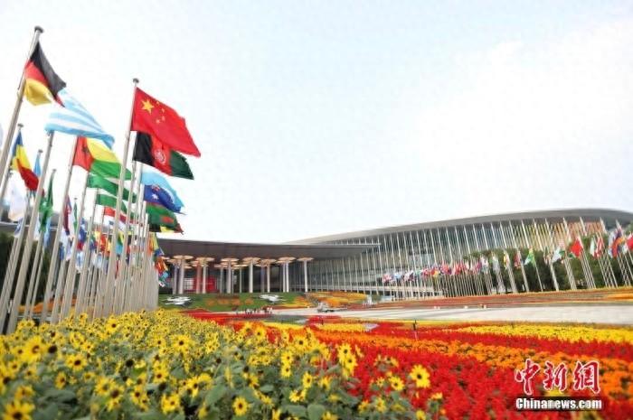 第七届进博会开幕，新西兰代表团携近 70 家公司亮相  第1张