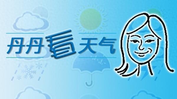 今晨气温仅 14℃！申城入冬节奏加快，你准备好了吗？