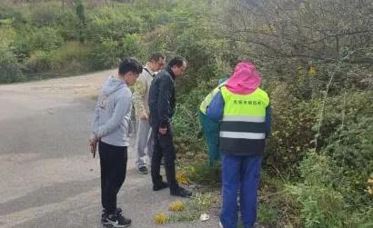 红火蚁、加拿大一枝黄花泛滥，市城市绿化服务中心出手了  第1张