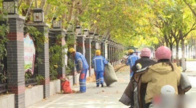 落叶铺满宿迁道路，环卫工人凌晨四五点就开始清扫，你还觉得浪漫吗？