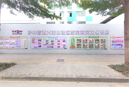 深圳综合减灾社区标准化试点项目顺利通过终期评估  第4张