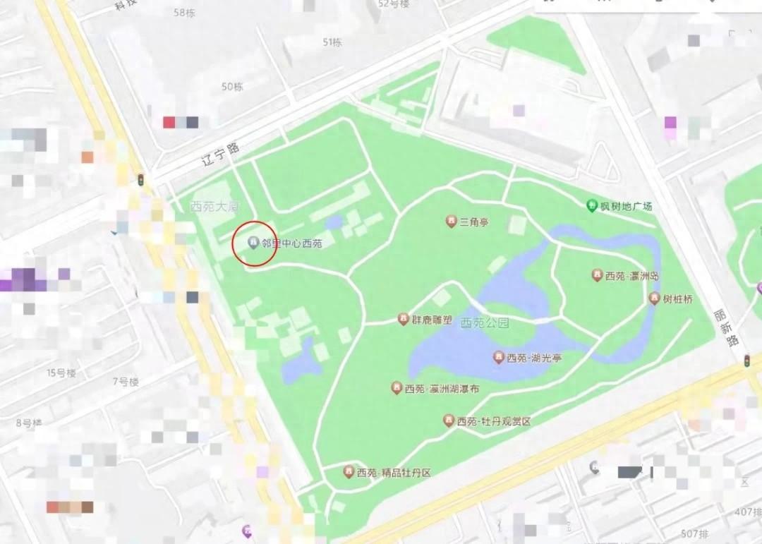 河南一婚姻登记处迁至公园，让领证更有仪式感，幸福满满