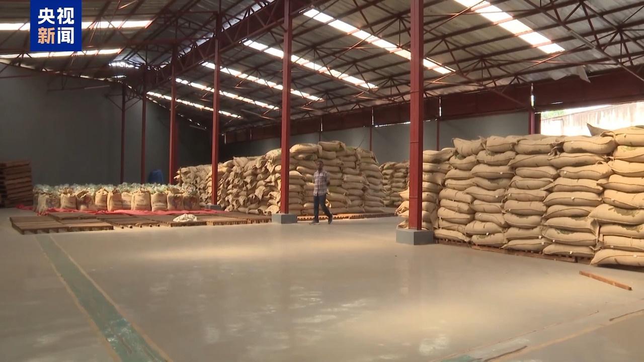进博会助卢旺达咖啡香飘中国，贸易商：机会巨大，样品一天卖光  第2张