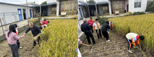 学农实践活动：探寻农耕之美，享受劳动之乐  第2张