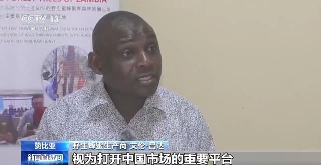 探访赞比亚野生蜂蜜原产地，独特蜂箱设计引惊叹  第4张