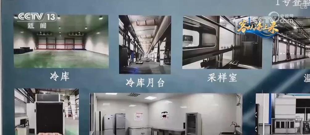 进博会 7 年：从展品到商品，从概念到落地，进博宝宝的成长之路  第11张