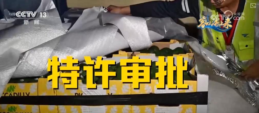进博会 7 年：从展品到商品，从概念到落地，进博宝宝的成长之路  第12张