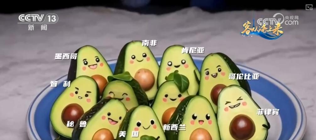 进博会 7 年：从展品到商品，从概念到落地，进博宝宝的成长之路  第5张