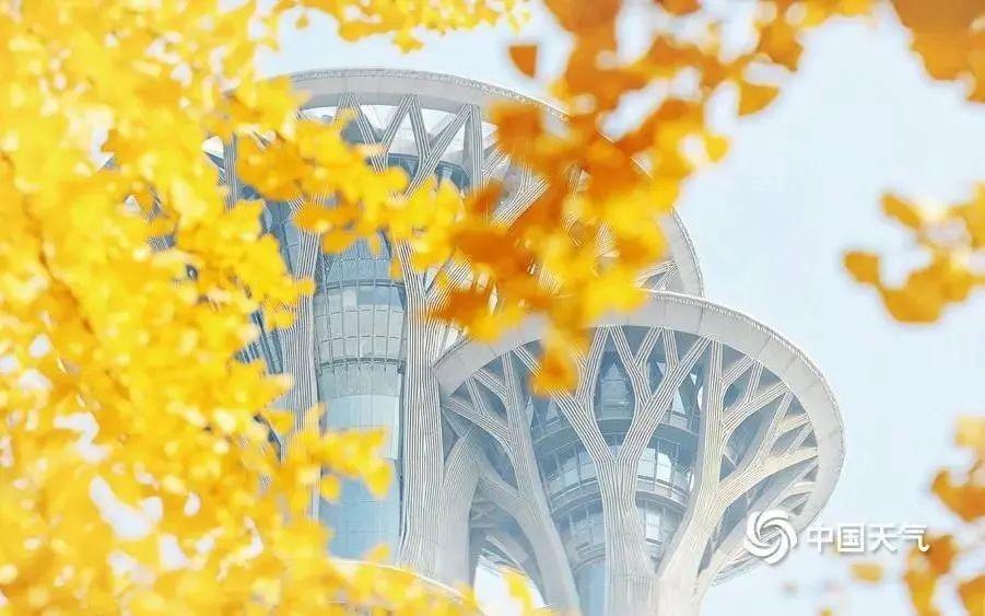 冷空气已至！北京气温大跳水，你准备好了吗？  第4张