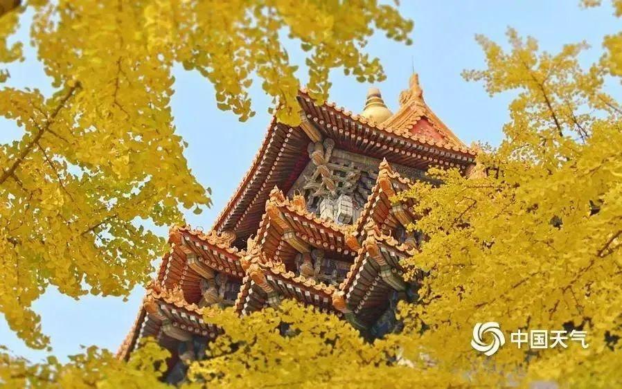 冷空气已至！北京气温大跳水，你准备好了吗？  第5张