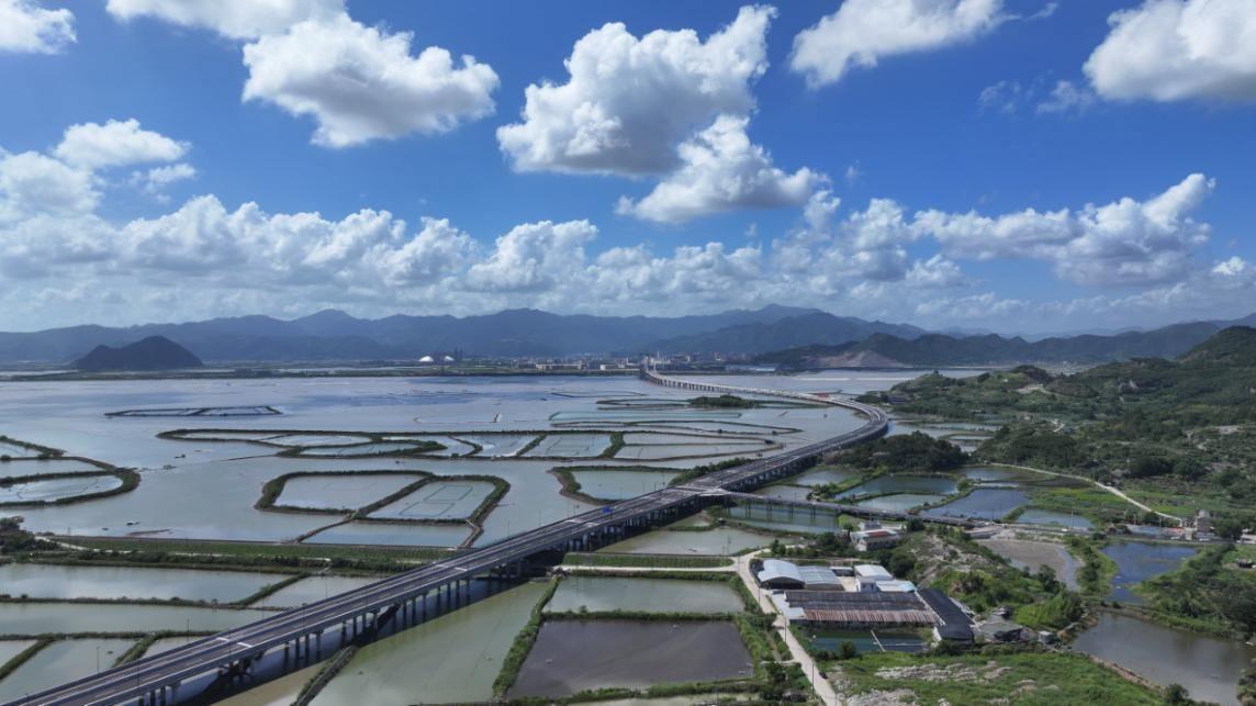 G228 宁海下陈至三门界段公路工程圆满通车，国企风范彰显  第3张