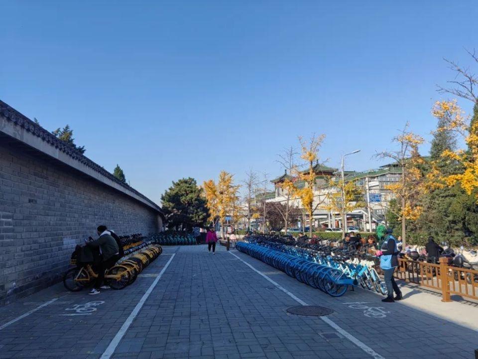 天坛东门停放秩序明显改善，增加非机动车停车位 220 个，你还不来看看？  第2张