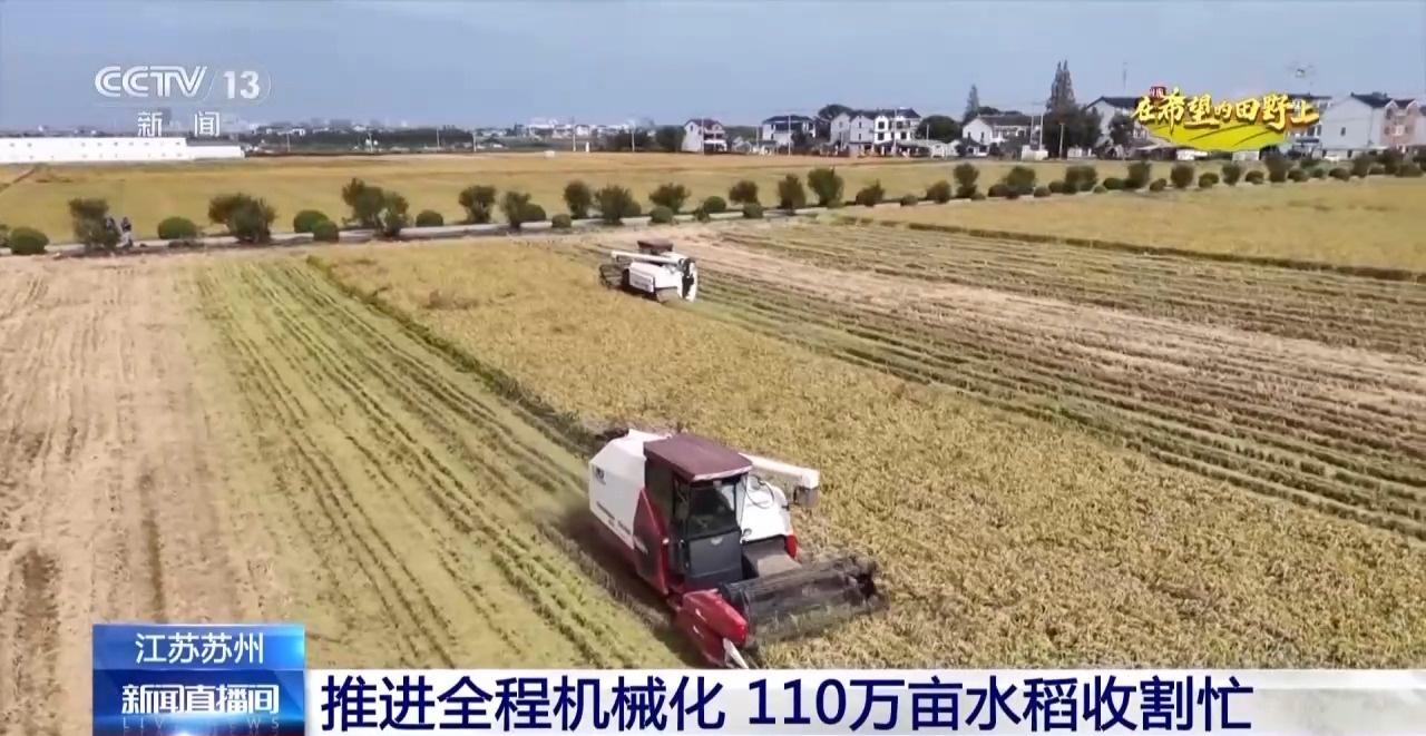 18 万余亩再生稻二茬稻成熟！安徽宣城：颗粒归仓，丰收正忙  第3张