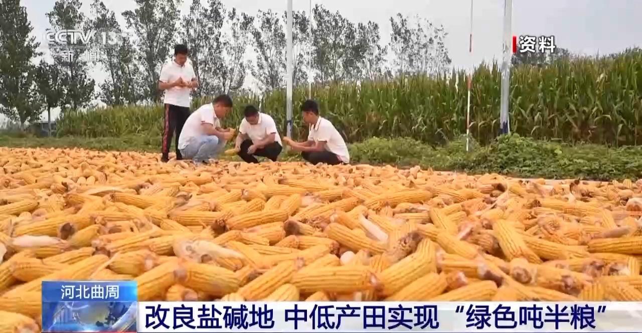 18 万余亩再生稻二茬稻成熟！安徽宣城：颗粒归仓，丰收正忙  第5张