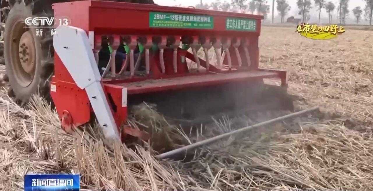 18 万余亩再生稻二茬稻成熟！安徽宣城：颗粒归仓，丰收正忙  第6张
