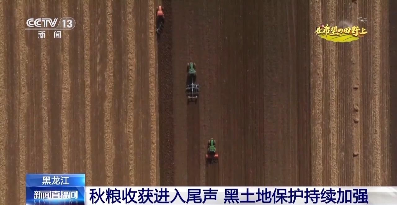 18 万余亩再生稻二茬稻成熟！安徽宣城：颗粒归仓，丰收正忙  第8张