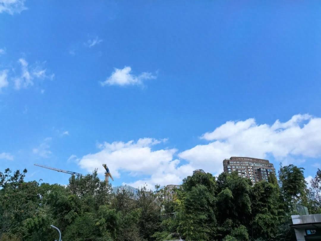 冷空气发威！上海今日气温一路下跌，明晨或创立秋以来新低  第1张