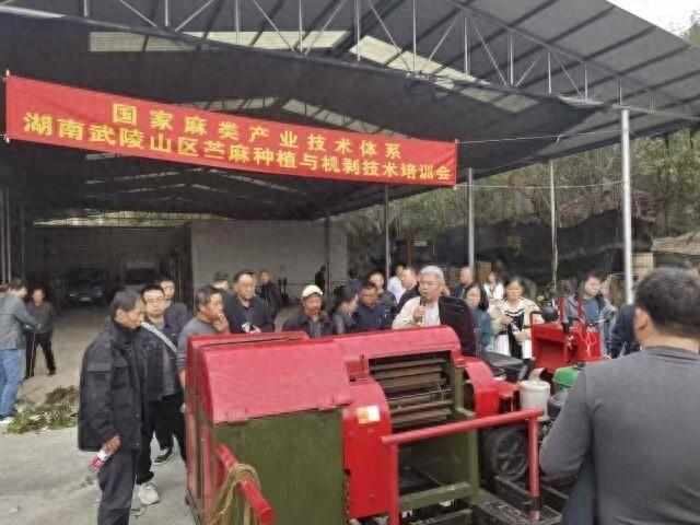 湖南武陵山区苎麻种植培训会召开，全方位为产业提供支撑  第1张