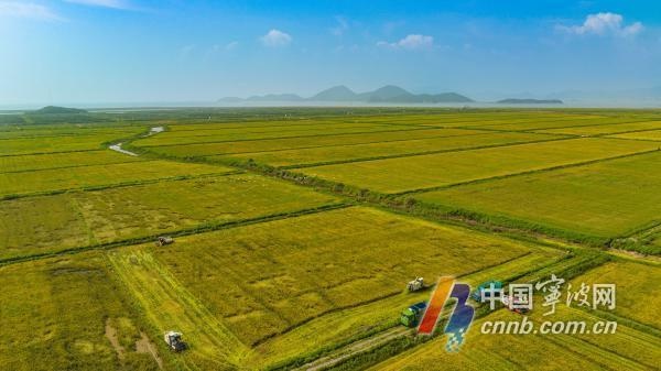 宁波31个项目获省级优秀，永久基本农田整治成果惊艳全省  第2张