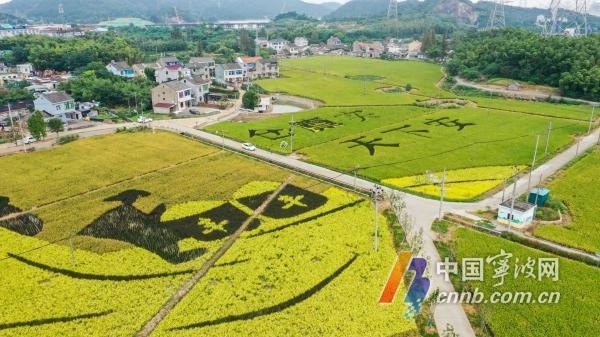 宁波31个项目获省级优秀，永久基本农田整治成果惊艳全省  第3张