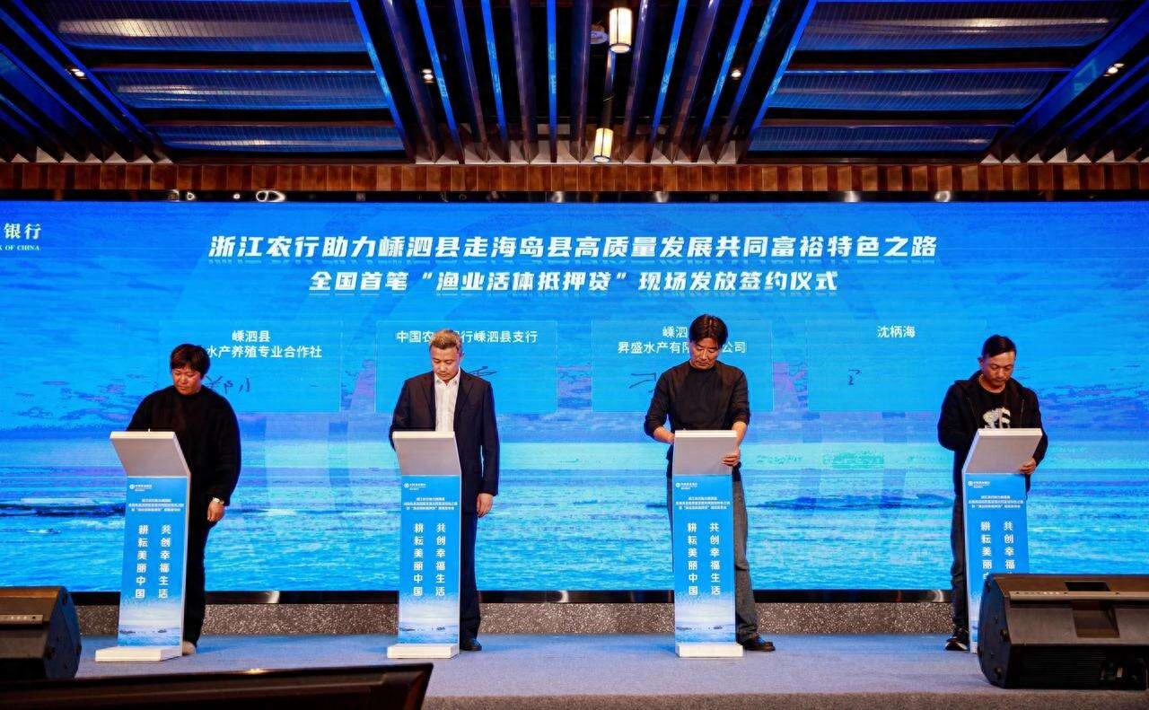 渔业活体抵押贷：打破传统信贷僵局，330万元贻贝贷助力嵊泗渔业高质量发展