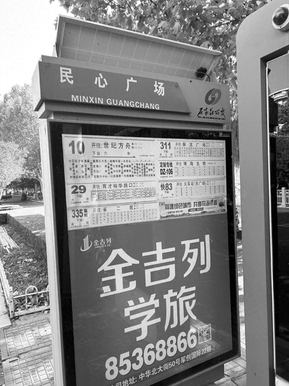 石家庄公交10路升级黄底黑体大字，敬老爱老新标杆，老年乘客出行更便捷