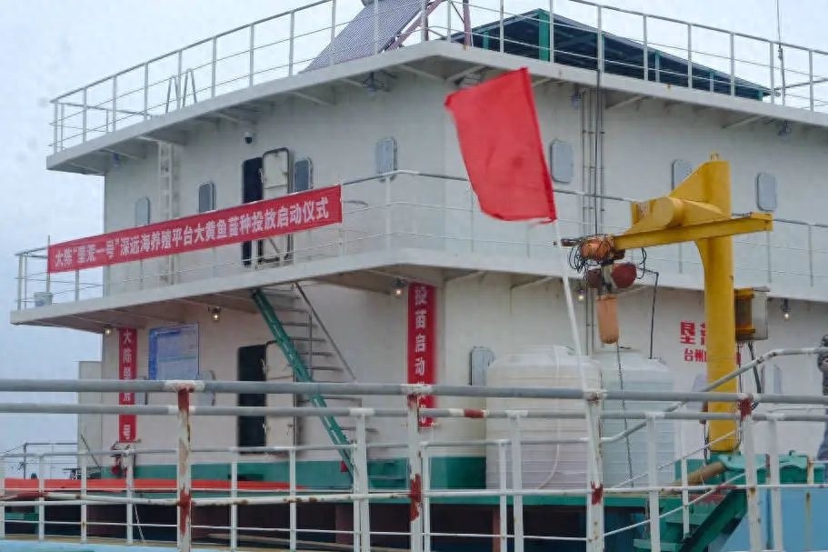 大陈黄鱼养殖平台升级：豪华邮轮带你探索深海美味，口感媲美野生黄鱼  第1张