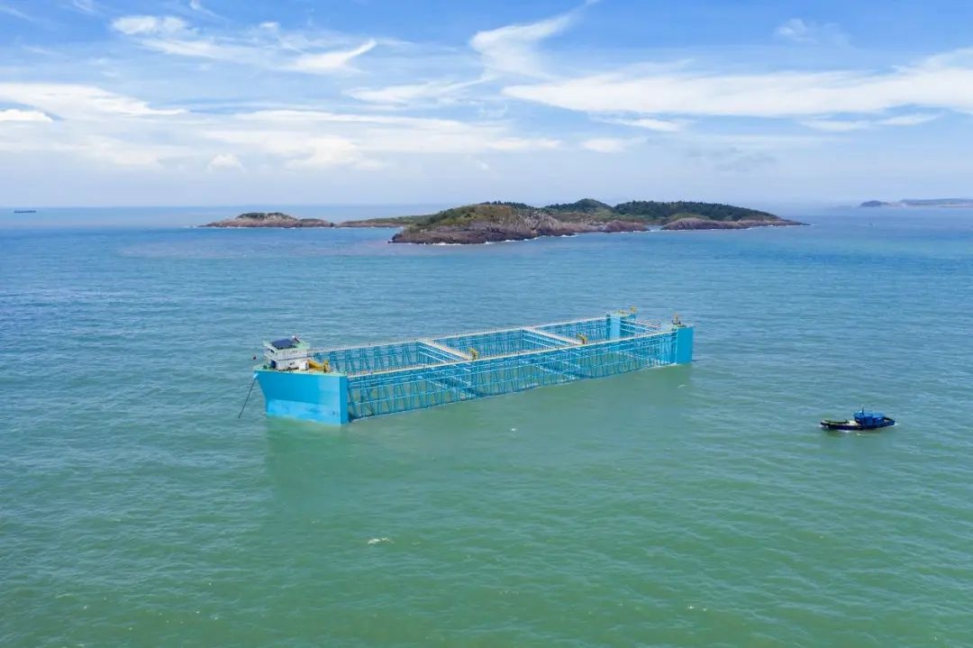 大陈黄鱼养殖平台升级：豪华邮轮带你探索深海美味，口感媲美野生黄鱼  第2张