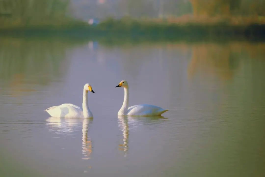 黄河之滨,兰州的灵魂坐标:探寻千年古都的灵性与浪漫 第11张 黄河之滨,兰州的灵魂坐标:探寻千年古都的灵性与浪漫 第11张