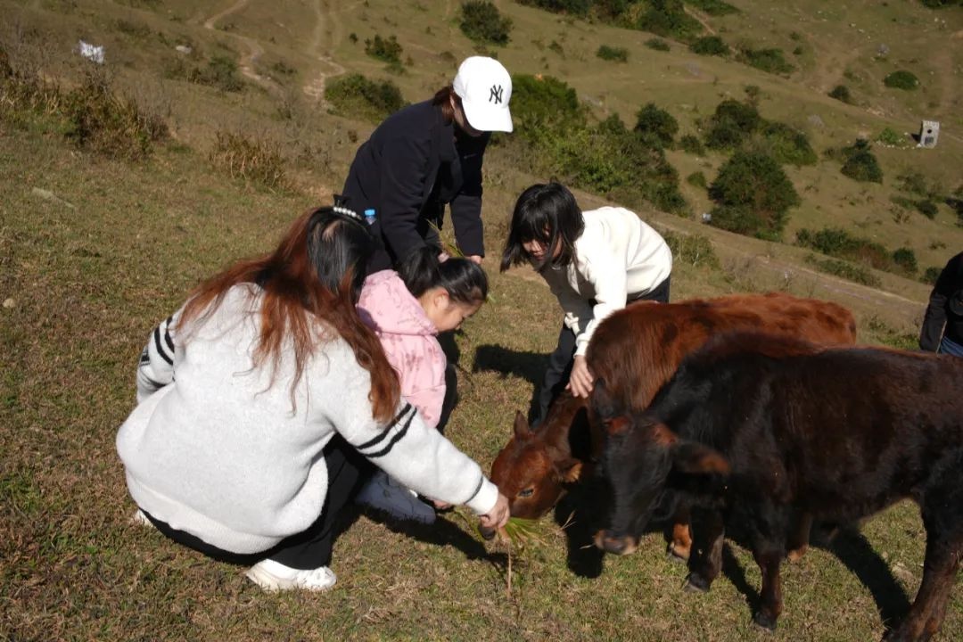 拥抱旷野，草场追风：志愿者第39个国际志愿者日团建活动，感受冬日静谧与祥和  第8张