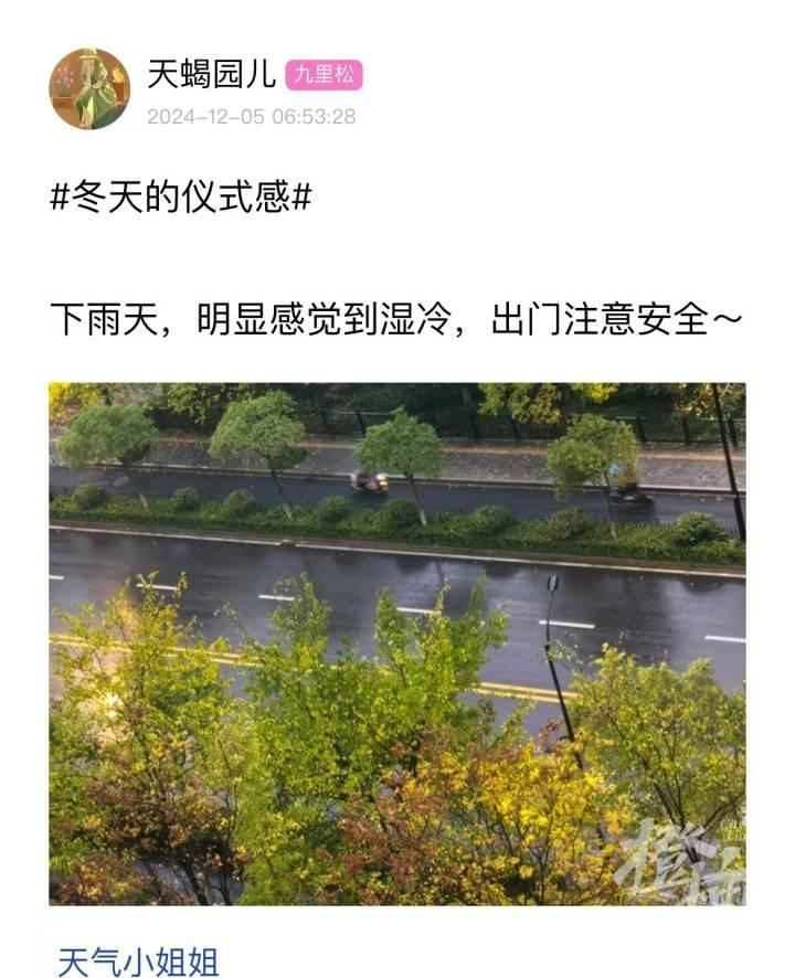 湿冷魔法攻击来袭！杭州冬雨突袭，7-8日气温骤降，最低仅2-6℃  第2张