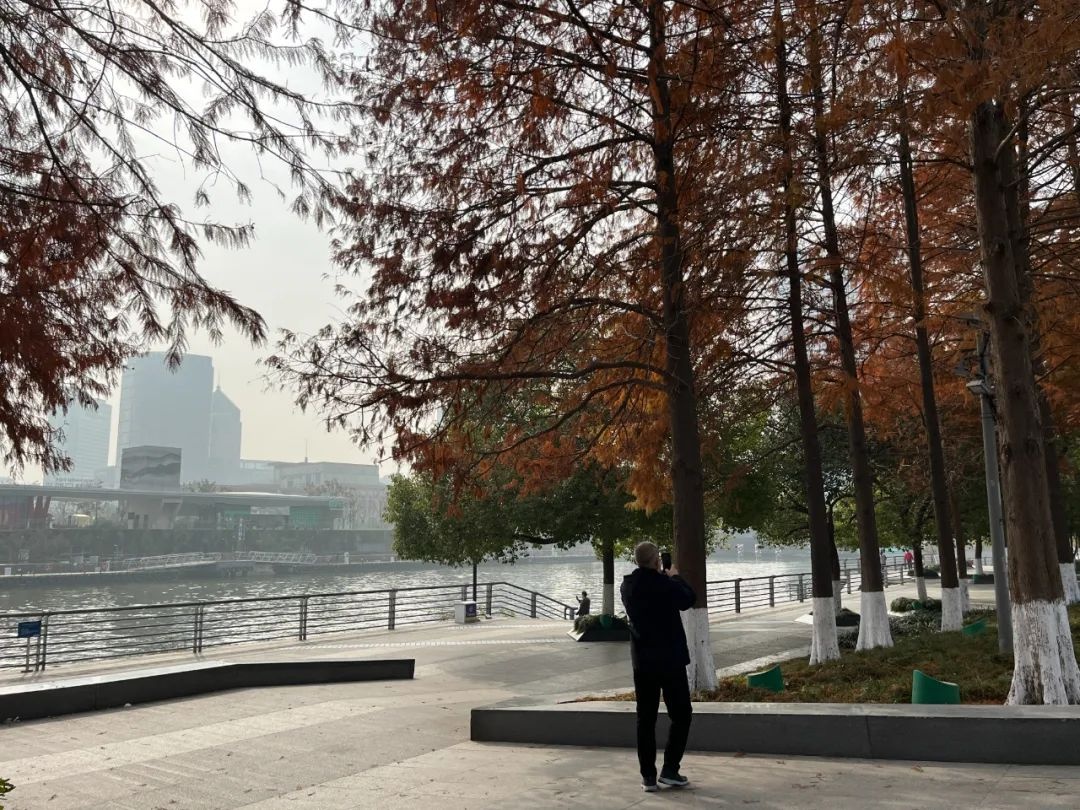 杭州阴雨笼罩，气温骤降！冷空气来袭，未来7天天气大变，你准备好了吗？  第5张