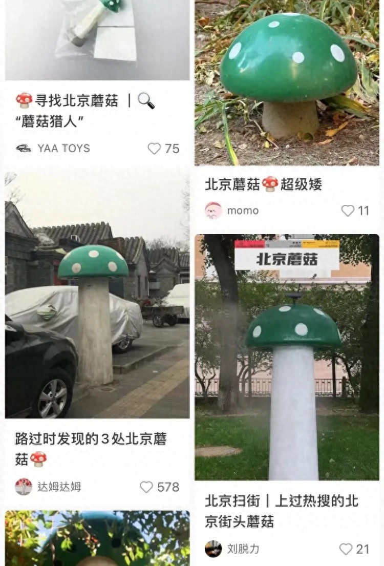 北京街头惊现神秘‘大蘑菇’，蘑菇猎人揭秘背后的真相与猜想