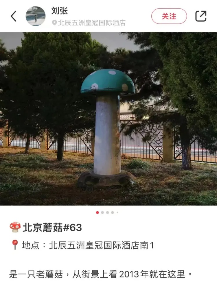 北京街头惊现神秘‘大蘑菇’，蘑菇猎人揭秘背后的真相与猜想  第2张