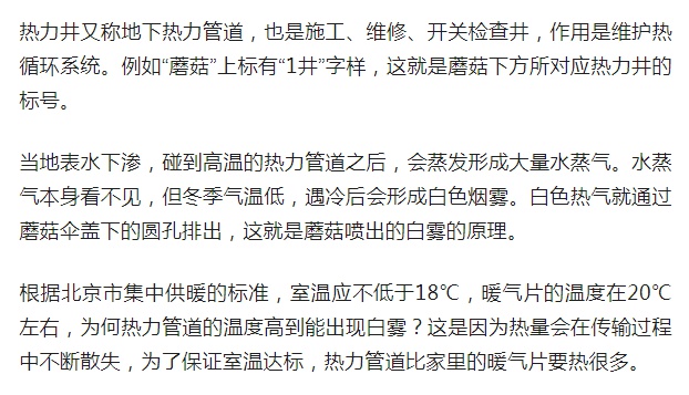 北京街头惊现神秘‘大蘑菇’，蘑菇猎人揭秘背后的真相与猜想  第4张