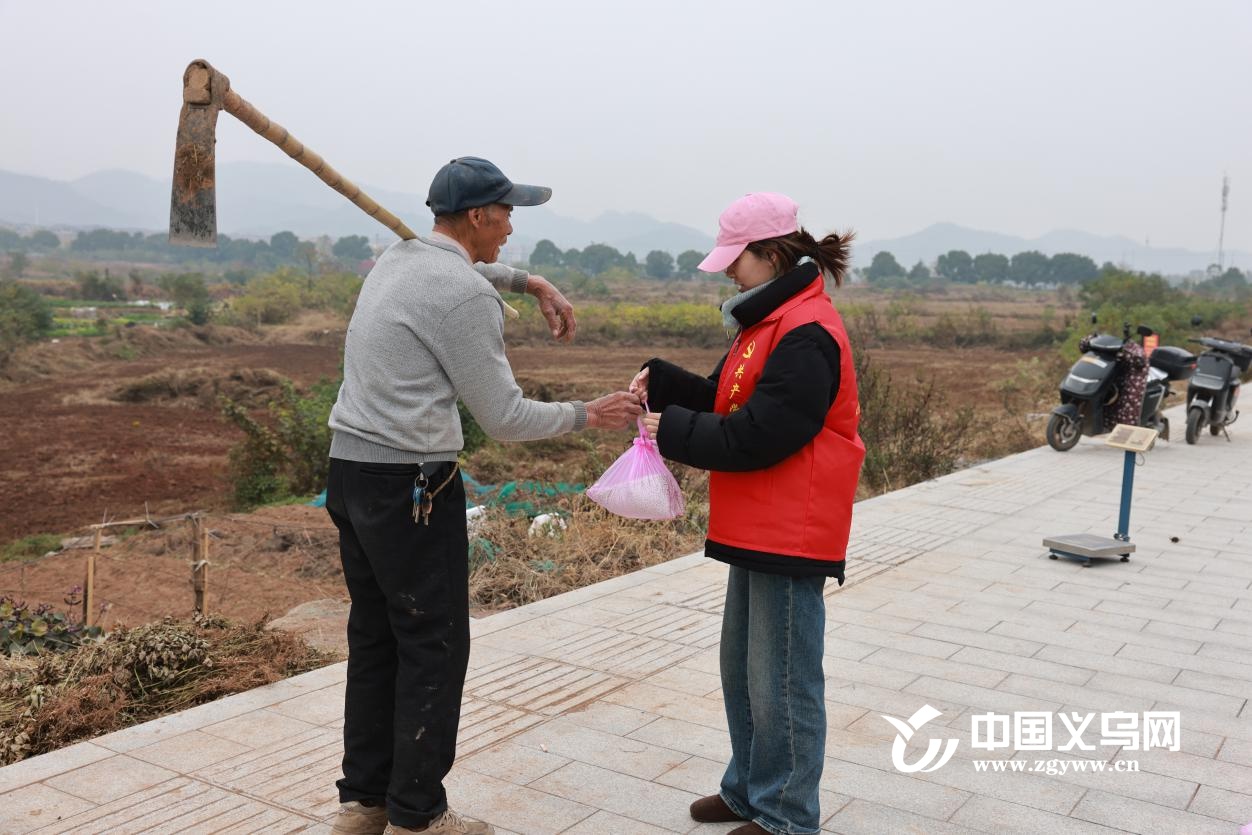 揭秘焚烧秸秆的惊人危害：一场改变农业传统的环保行动  第5张