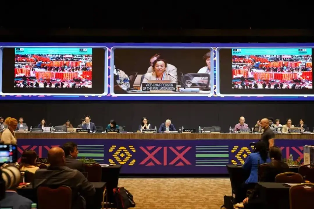 春节正式列入非遗名录，揭秘中国人心中最重要的传统节日  第1张