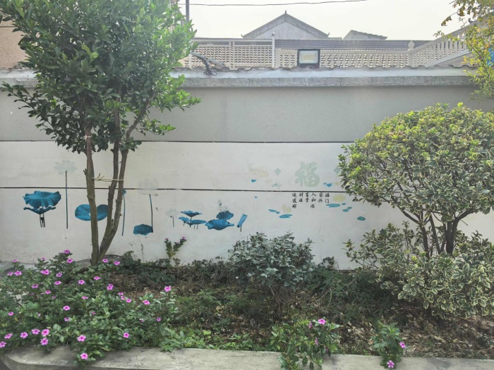 揭秘太湖县徐桥镇的美丽庭院：如何从一户一院走向乡村大家美？  第2张