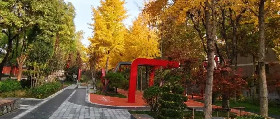 文明旅游：点滴之举绘就最美风景，正定古城见证文明新风尚  第2张