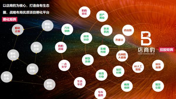 店商豹：AI赋能本地生活，创新积分制引领消费新潮流  第2张